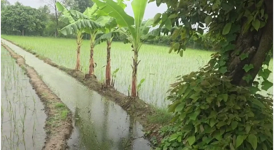 Gola Gokaran Nath, Kheri, Uttar Pradesh 262802, India