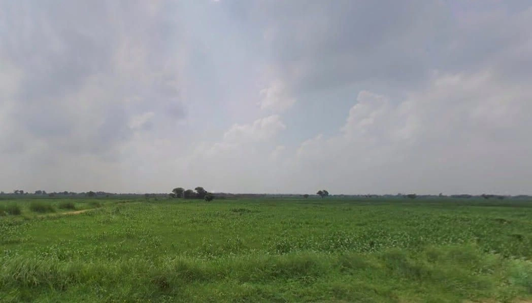 M7VH+V45, Nandera, Rajasthan 321022, India