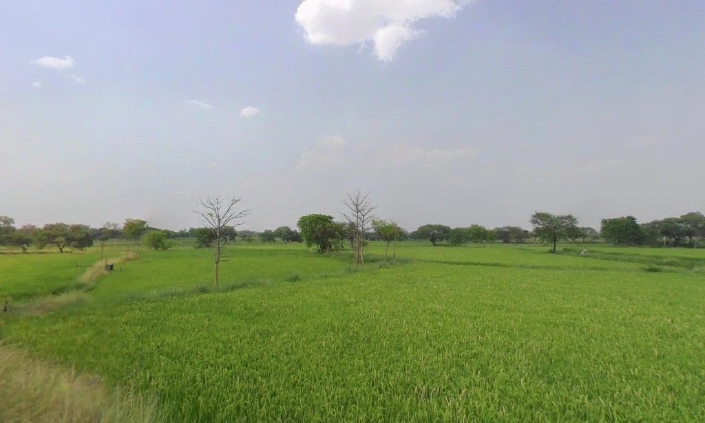 Chhachhanpairi, Chhattisgarh 493661, India