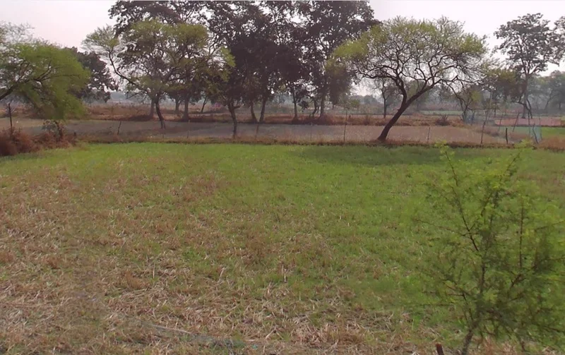 Jondhra, Chhattisgarh, India preview 2