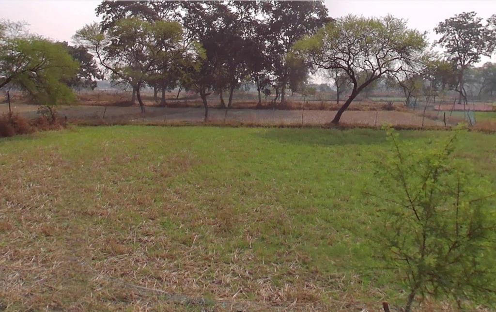 Jondhra, Chhattisgarh, India