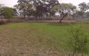 Jondhra, Chhattisgarh, India preview 2