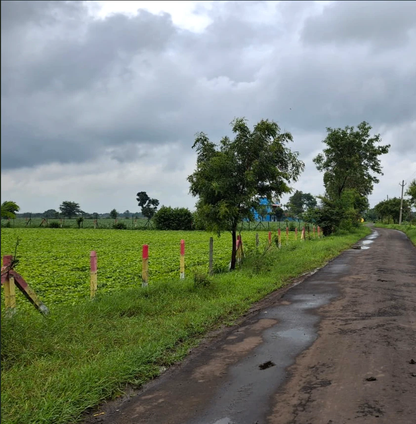 38M3+XW, Sehore, Khari, Madhya Pradesh 466111, India