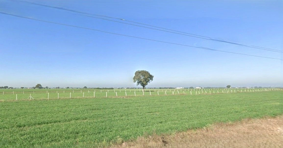 Jansath, Uttar Pradesh 251314, India