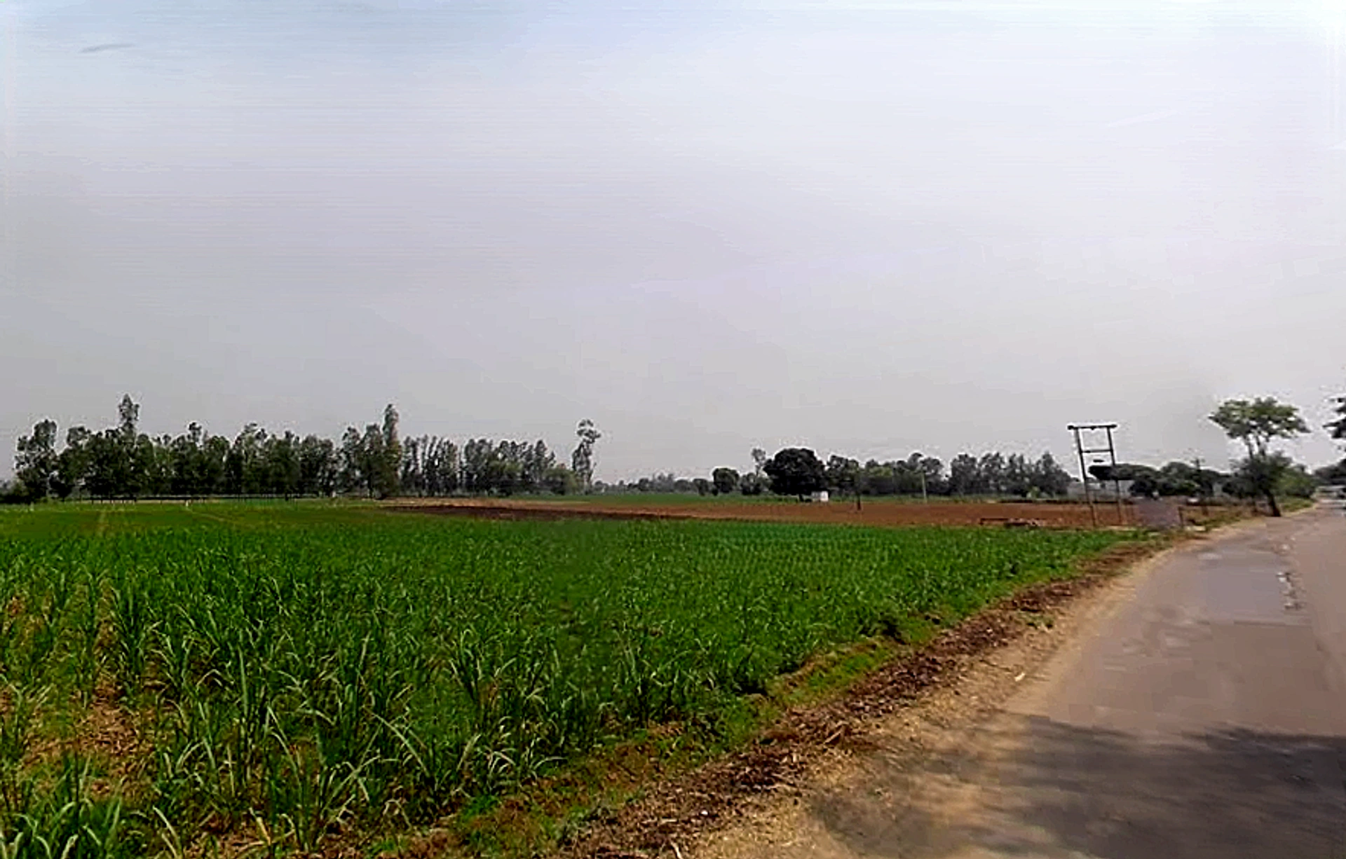 Kithaur, Uttar Pradesh 250104, India