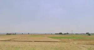 Silao, Bihar 803117, India preview 2