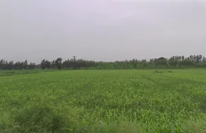 Deoband Dehat, Uttar Pradesh 247554, India preview 3