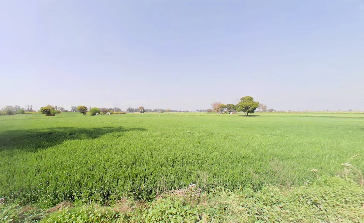 Murthal, Haryana, India