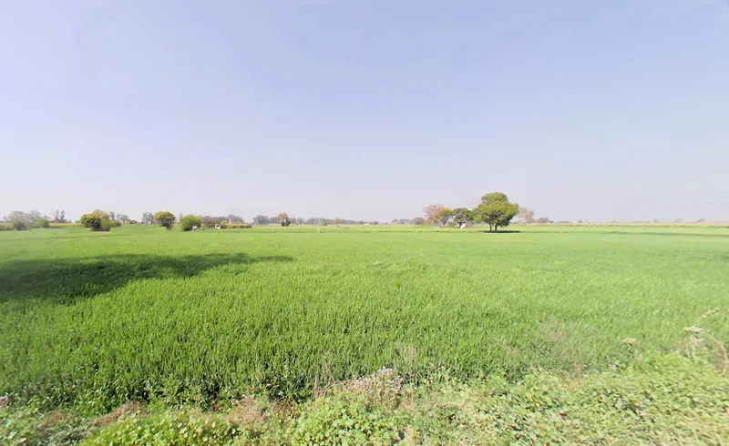 Murthal, Haryana, India preview 2