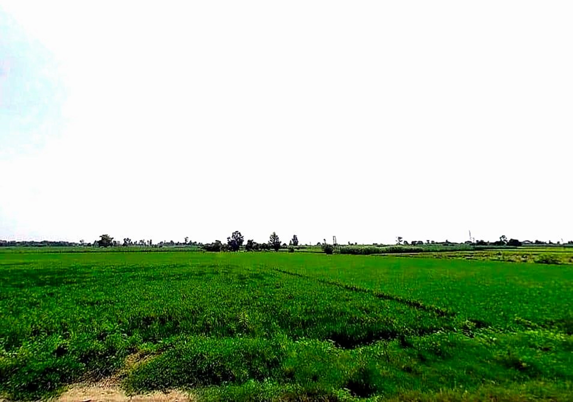 Toda, Uttar Pradesh, India