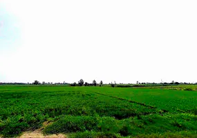 Toda, Uttar Pradesh, India preview 2