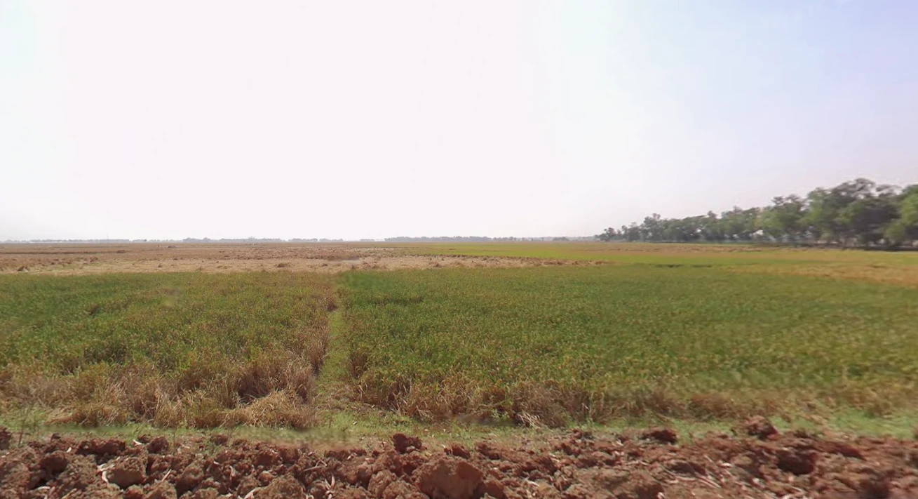 Sultanpur, West Bengal, India