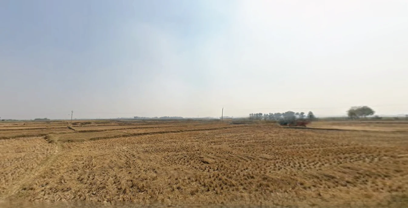 MHRV+XM, Junglee Mohal, West Bengal 735133, India