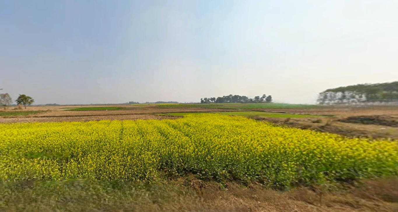 Chitrakonda, Odisha 764052, India