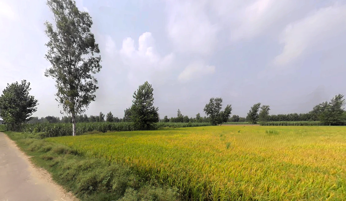 Nakur, Uttar Pradesh 247342, India