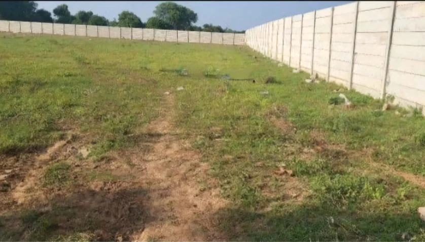 6RJV+87G, Vardhana Muvada, Gujarat 382305, India preview 3