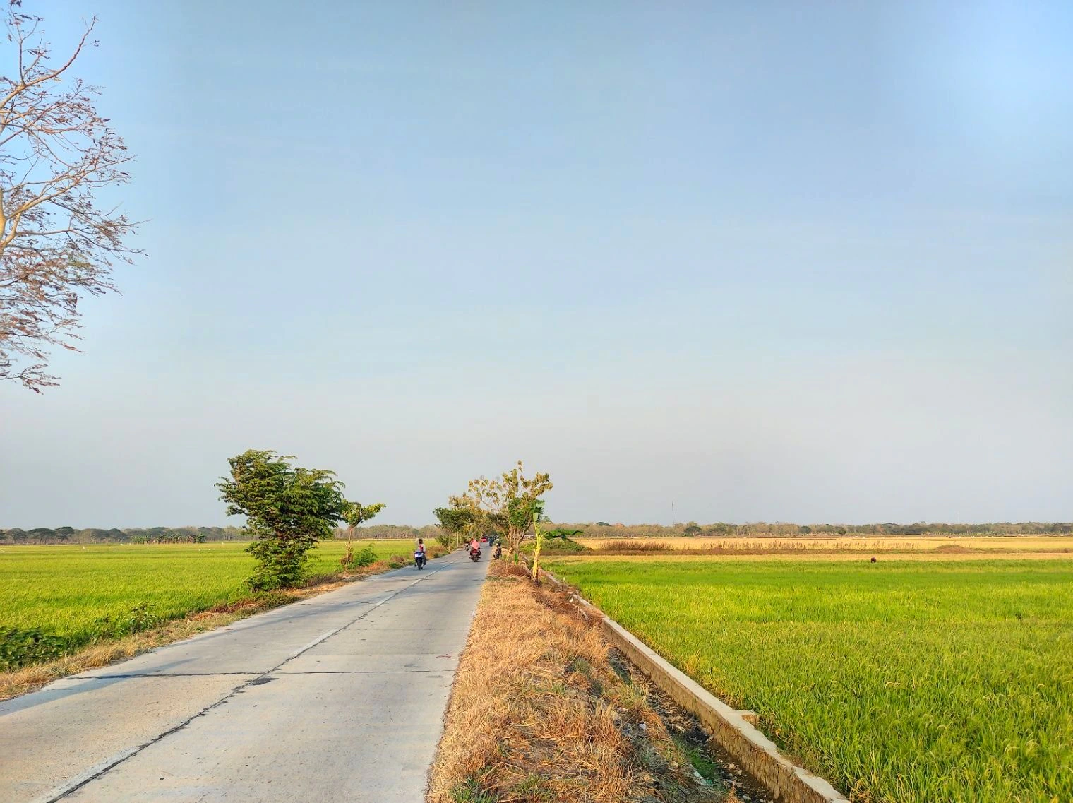 Kotma, Madhya Pradesh 484334, India