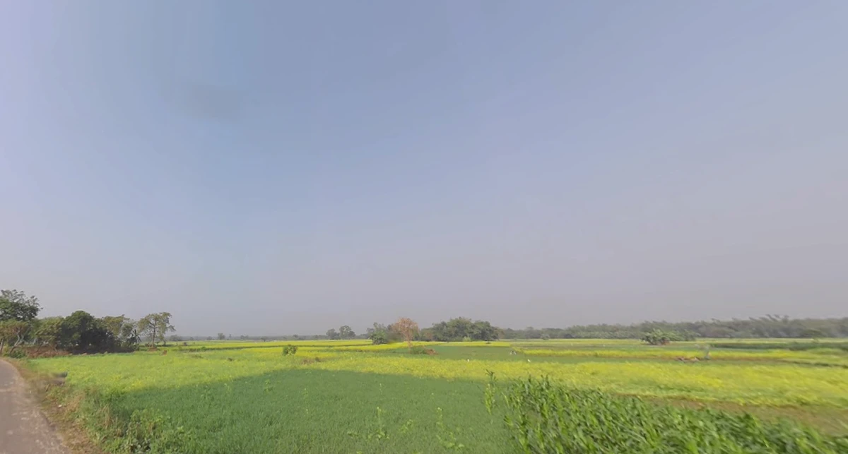 FC36+45F, Bhaktisiddhanta Saraswati Marg, Bamanpukur, West Bengal 741313, India