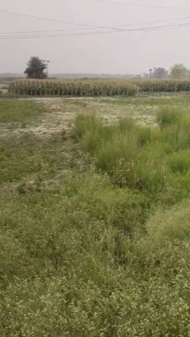 R355+R3X, Khilwai, Uttar Pradesh 245205, India preview 3