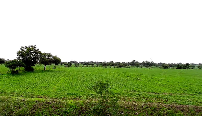 Amrod, Madhya Pradesh 466001, India preview 3