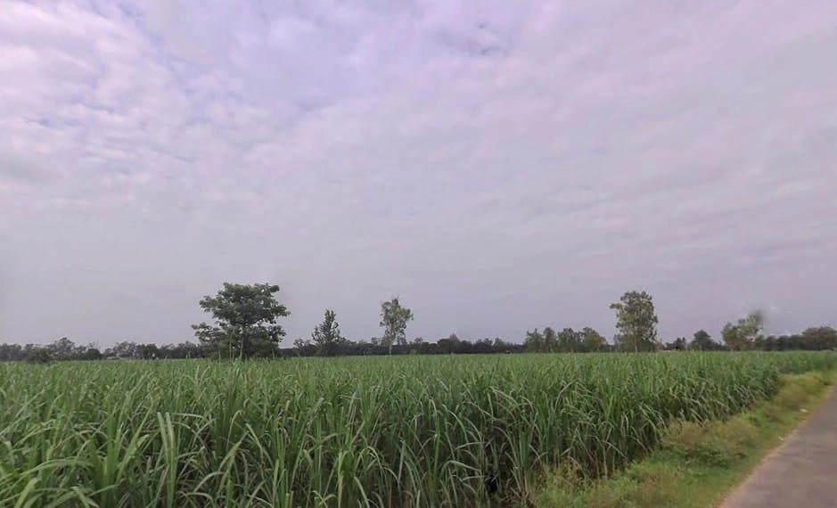 Sadarpur, Uttar Pradesh 250401, India