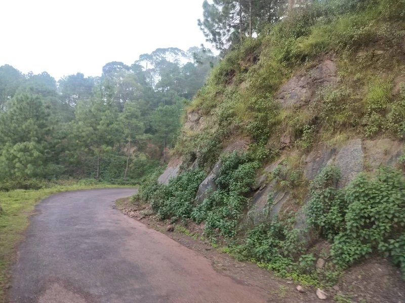 Panjhal, Himachal Pradesh 173001, India preview 2