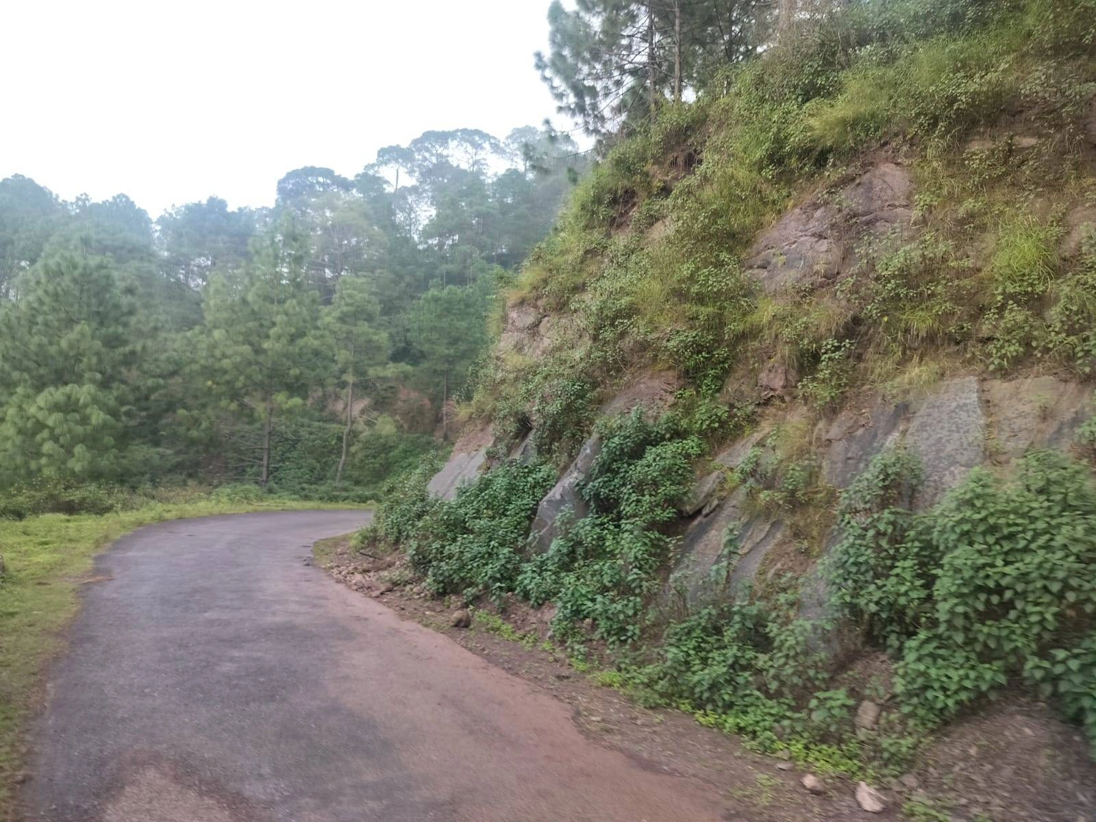 Panjhal, Himachal Pradesh 173001, India