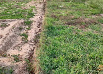 Gijrauli, Hathras, Uttar Pradesh 204101, India preview 2
