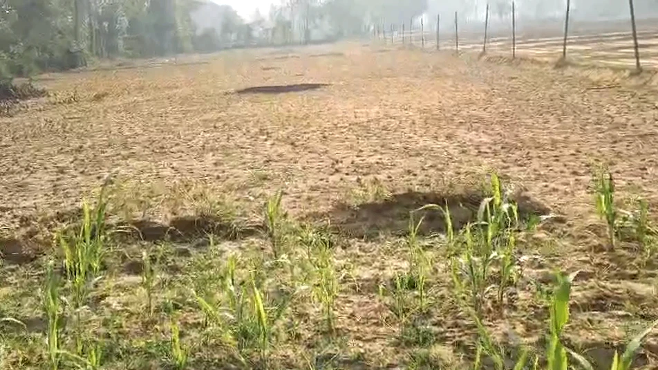 Bichalkha, Barabanki, Uttar Pradesh 225001, India