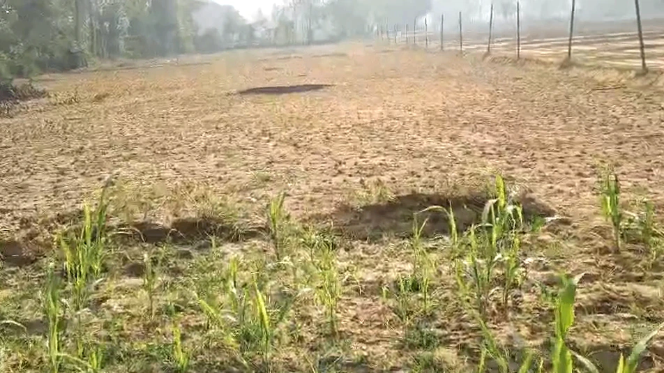 Bichalkha, Barabanki, Uttar Pradesh 225001, India - Photo 2