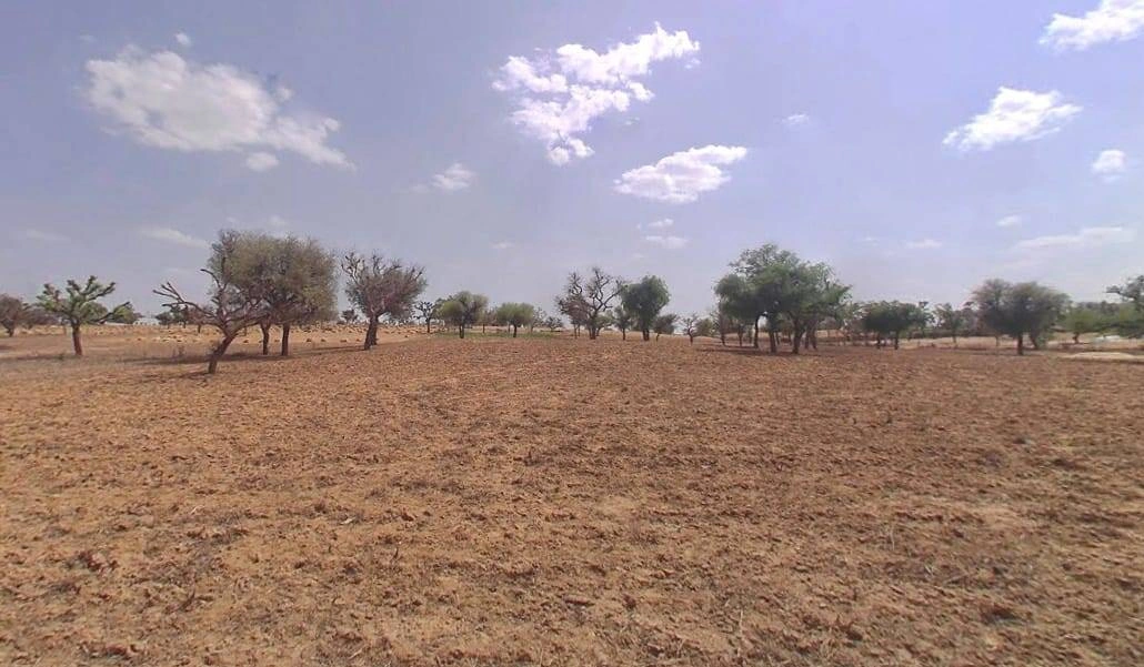 CC8G+MJ2, Mandha, Rajasthan, India