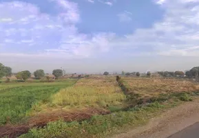 GQJ3+G3 Nangla Banjeerka, Rajasthan, India preview 2