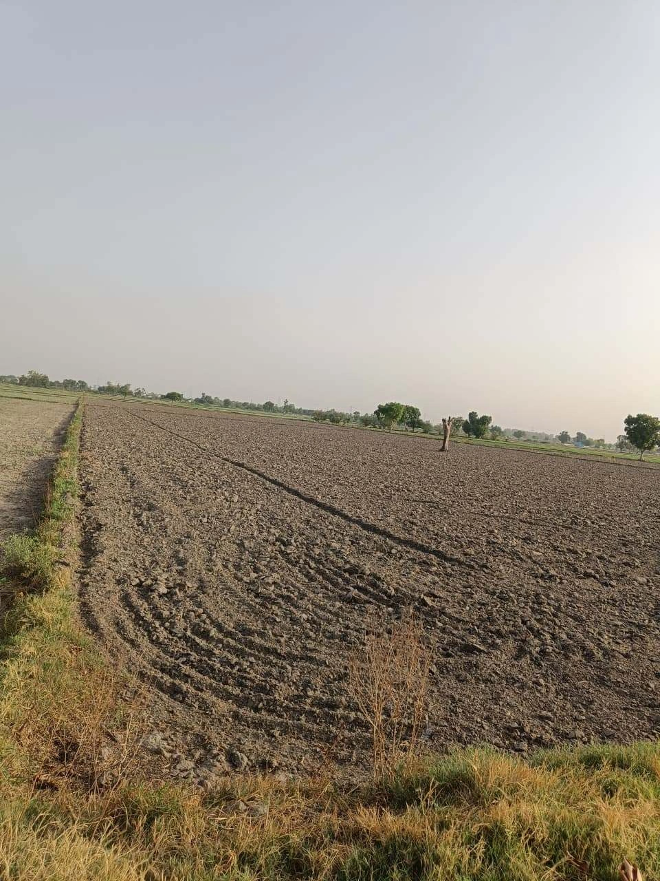 Tentigaon, Uttar Pradesh, India
