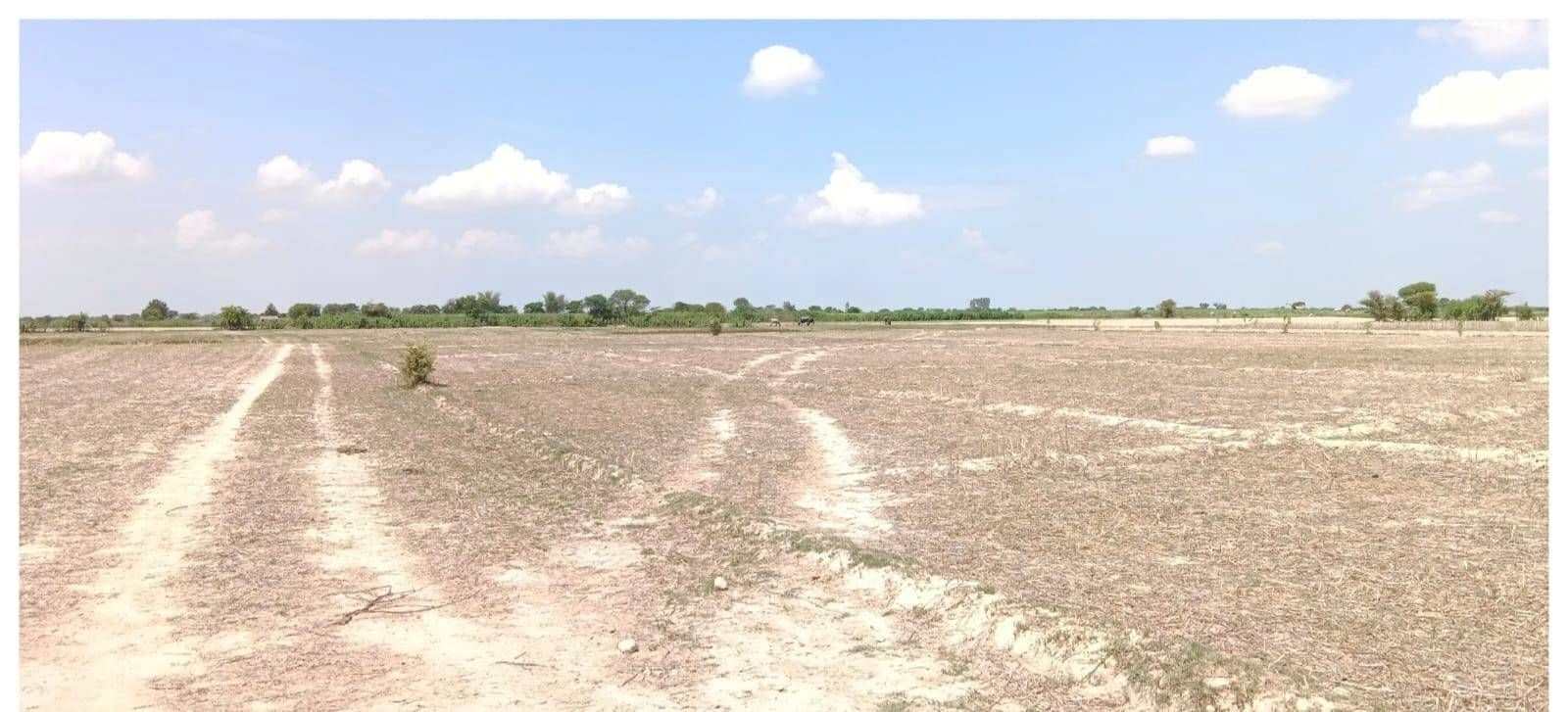 QX5G+3P Lahra Pur, Uttar Pradesh, India