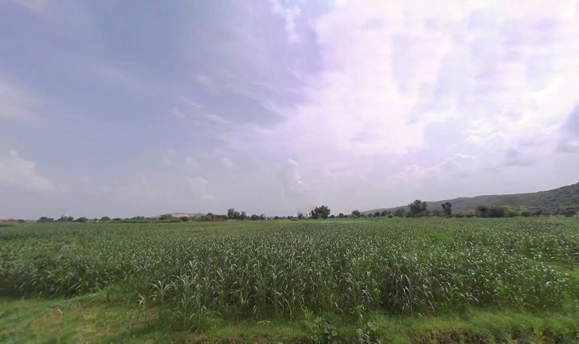 Papra, Rajasthan, India