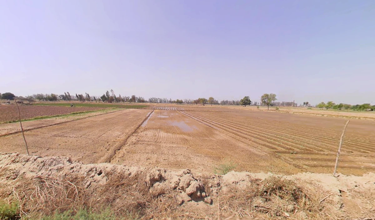 Bass, Haryana 125042, India