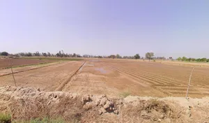 Bass, Haryana 125042, India preview 2