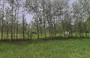 Behat, Uttar Pradesh 247121, India preview 2
