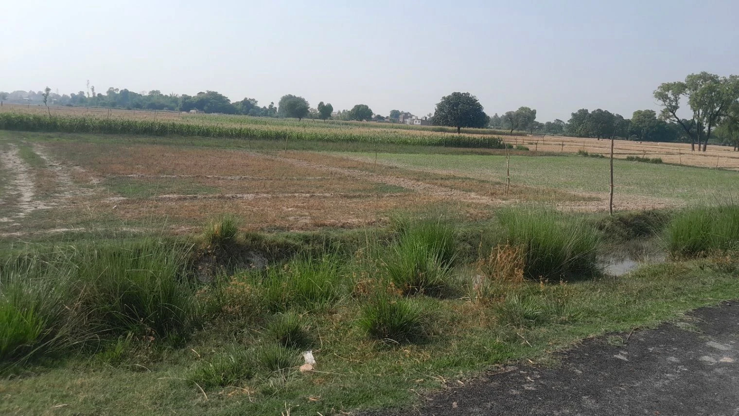 P5FG+WX2, Vill&Post, Dadera, Kazipur Jamin Malikpur, Uttar Pradesh 224133, India