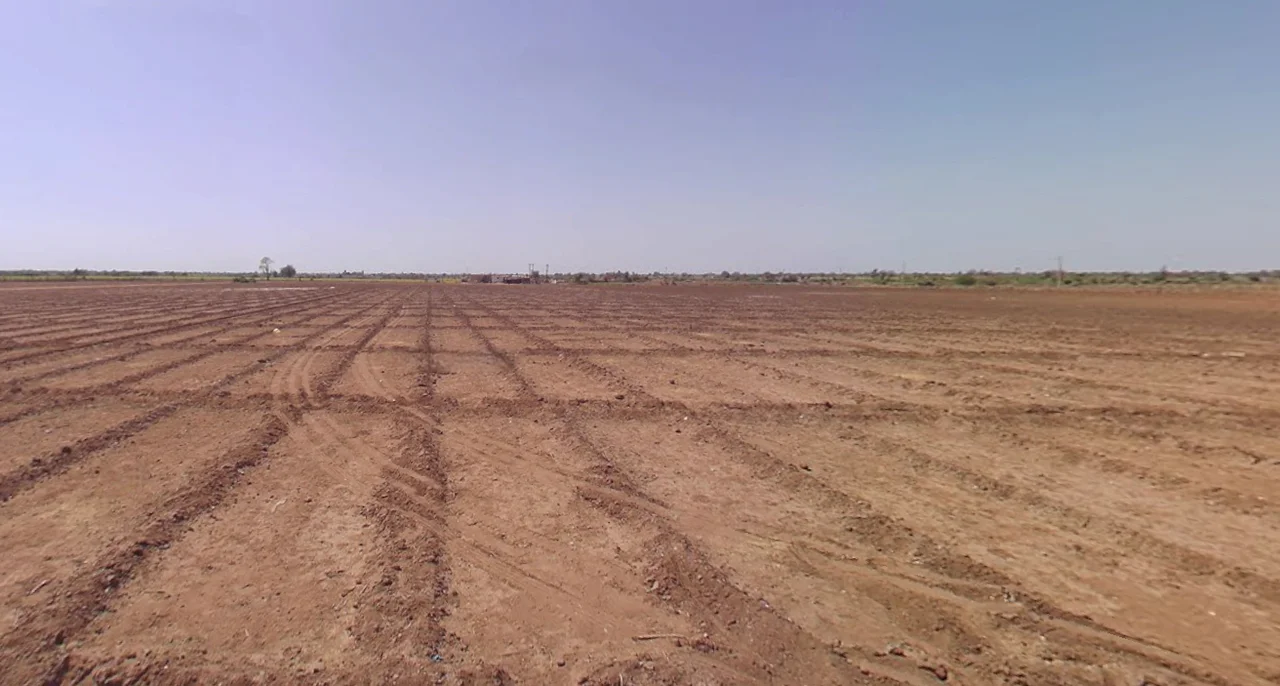 Rajoda, Bavla, Gujarat, India preview 3