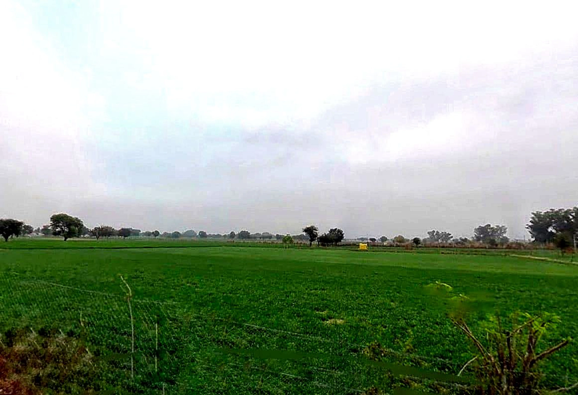 XGJ2+P2C, Bassi Naaga, Rajasthan 303124, India