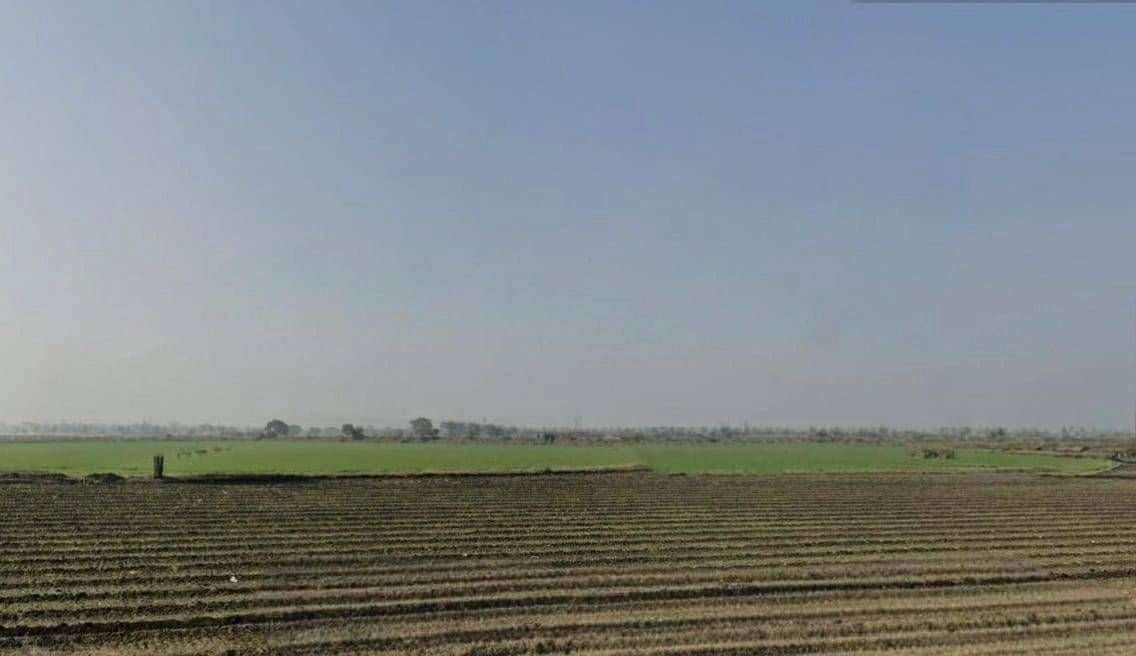 Palkhedi, Madhya Pradesh 456006, India