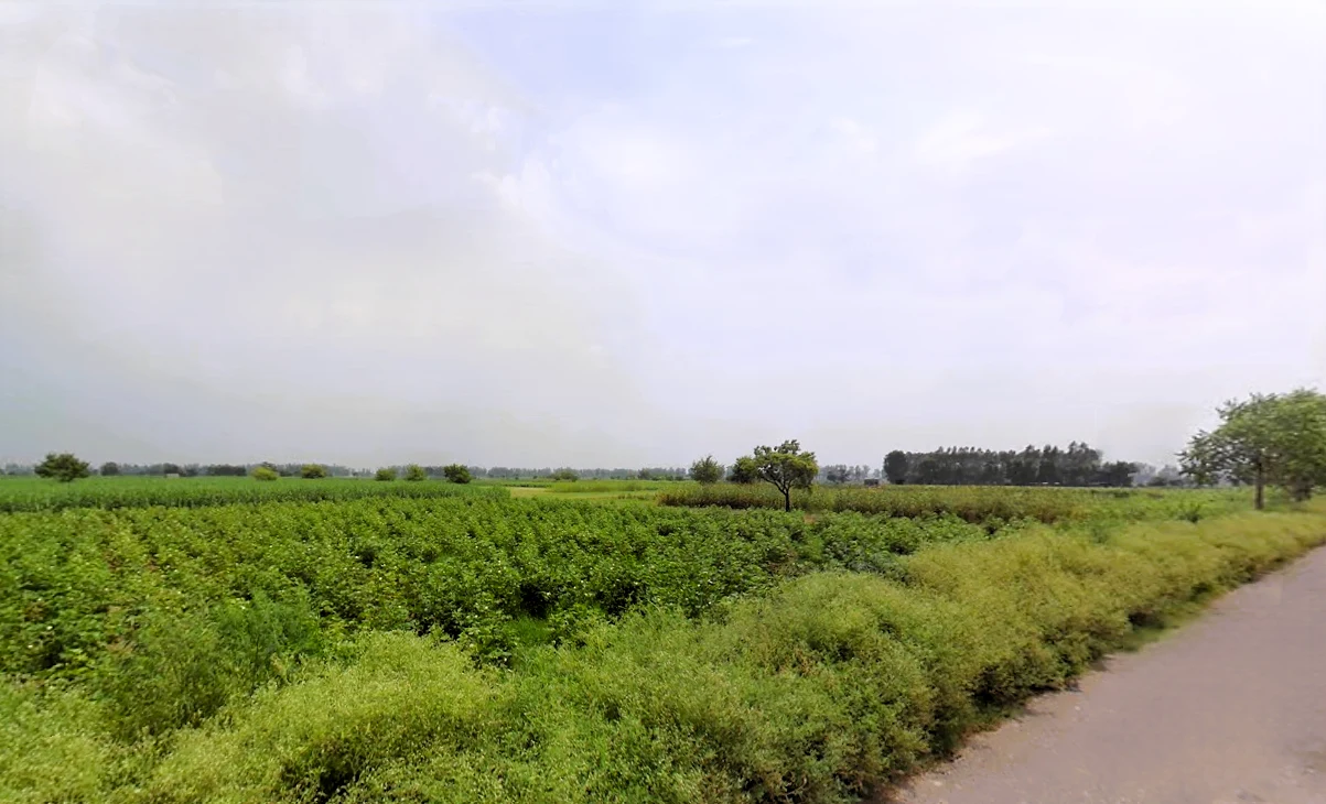 Lalit Khera, Haryana 126114, India