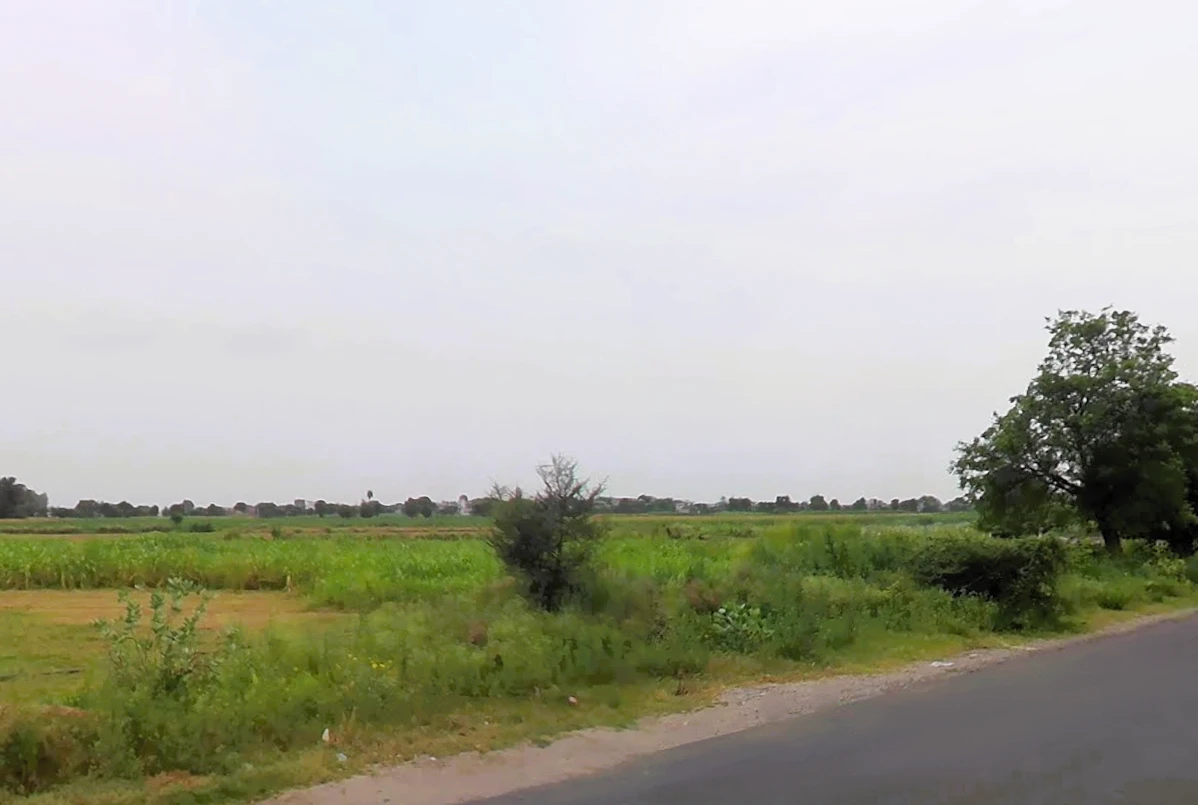 Baluda, Haryana 122103, India