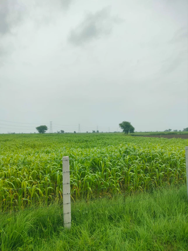 Devnagar, Jaipur, Rajasthan 303005, India