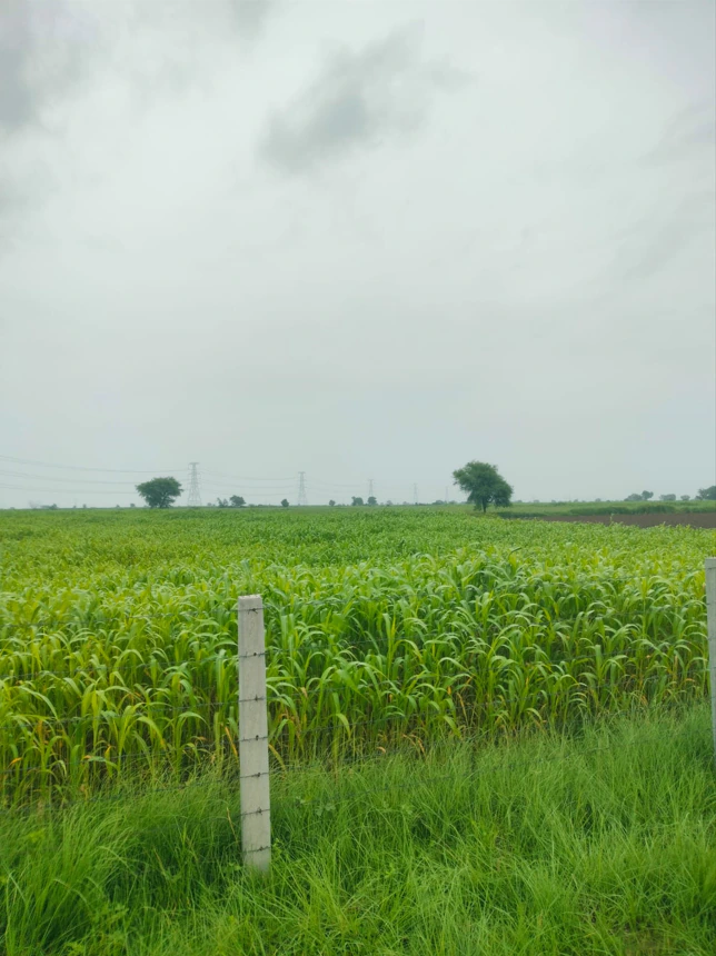 Devnagar, Jaipur, Rajasthan 303005, India