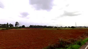 25, Chikkanahalli, Devanahally, Bandikodegehalli Amanikere, Karnataka 562149, India preview 3