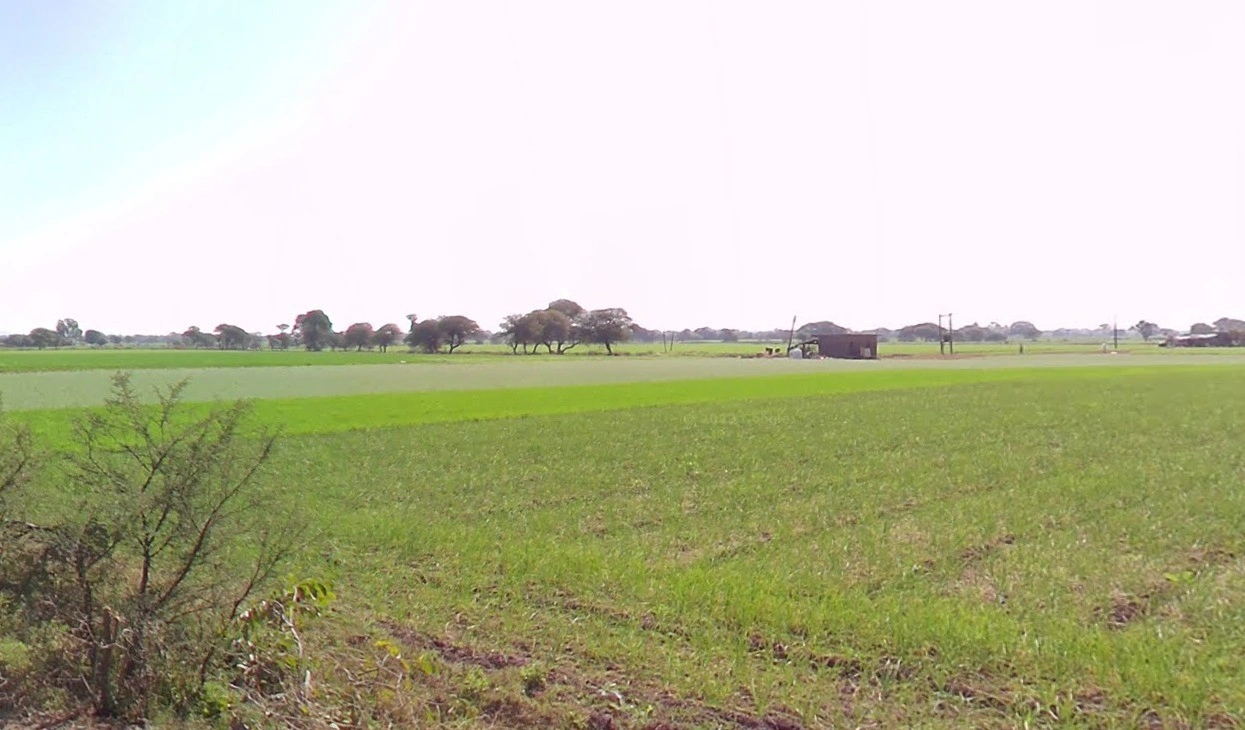 Khudail, Madhya Pradesh, India