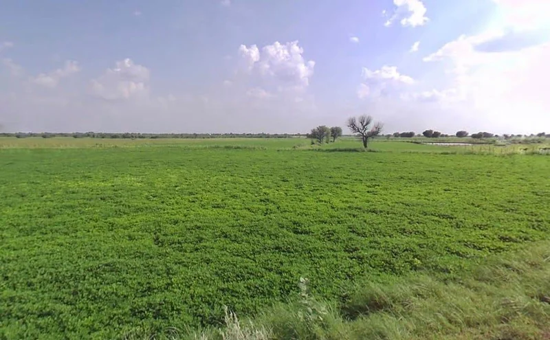 P8QQ+9FV, Palu Khurd, Rajasthan 303348, India preview 3