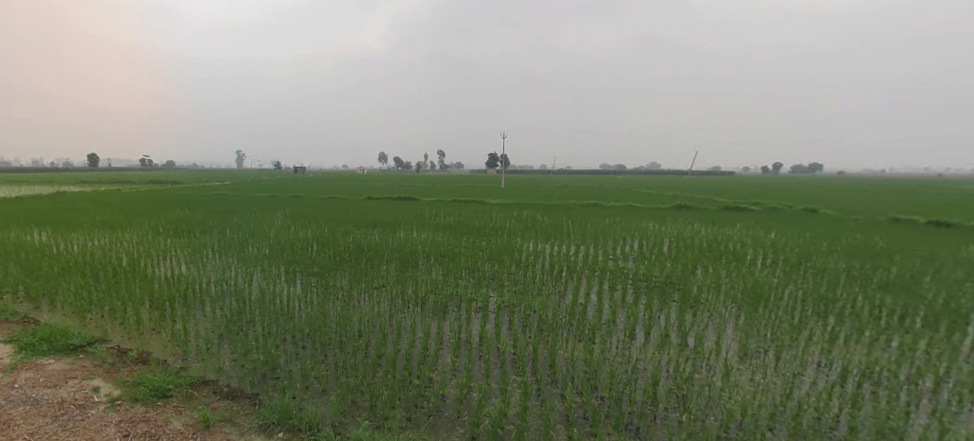 Dusarana, Punjab 140103, India